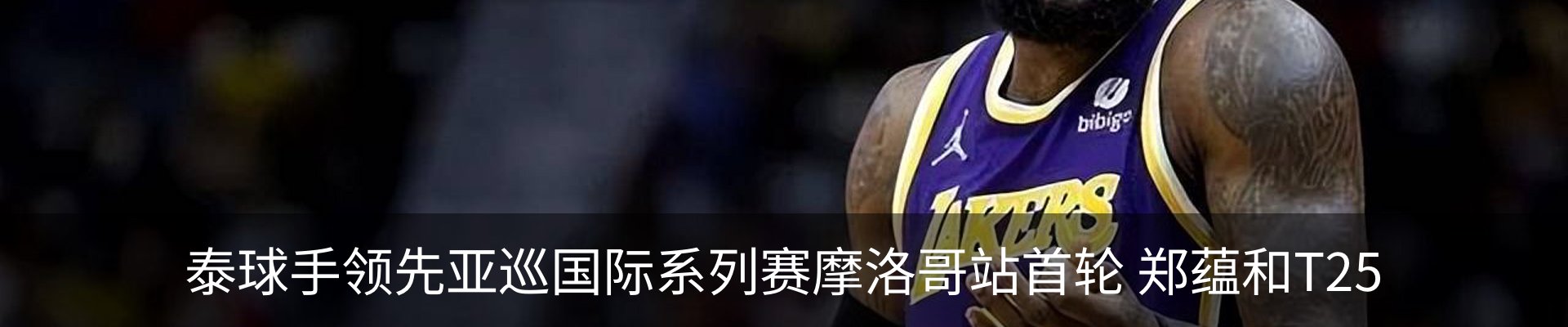新闻动态